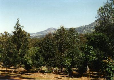 View from the memorial