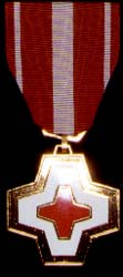 Republic of Vietnam Life Saving Medal (Military)