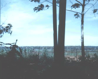Looking out from the barbed wire at Nui dat